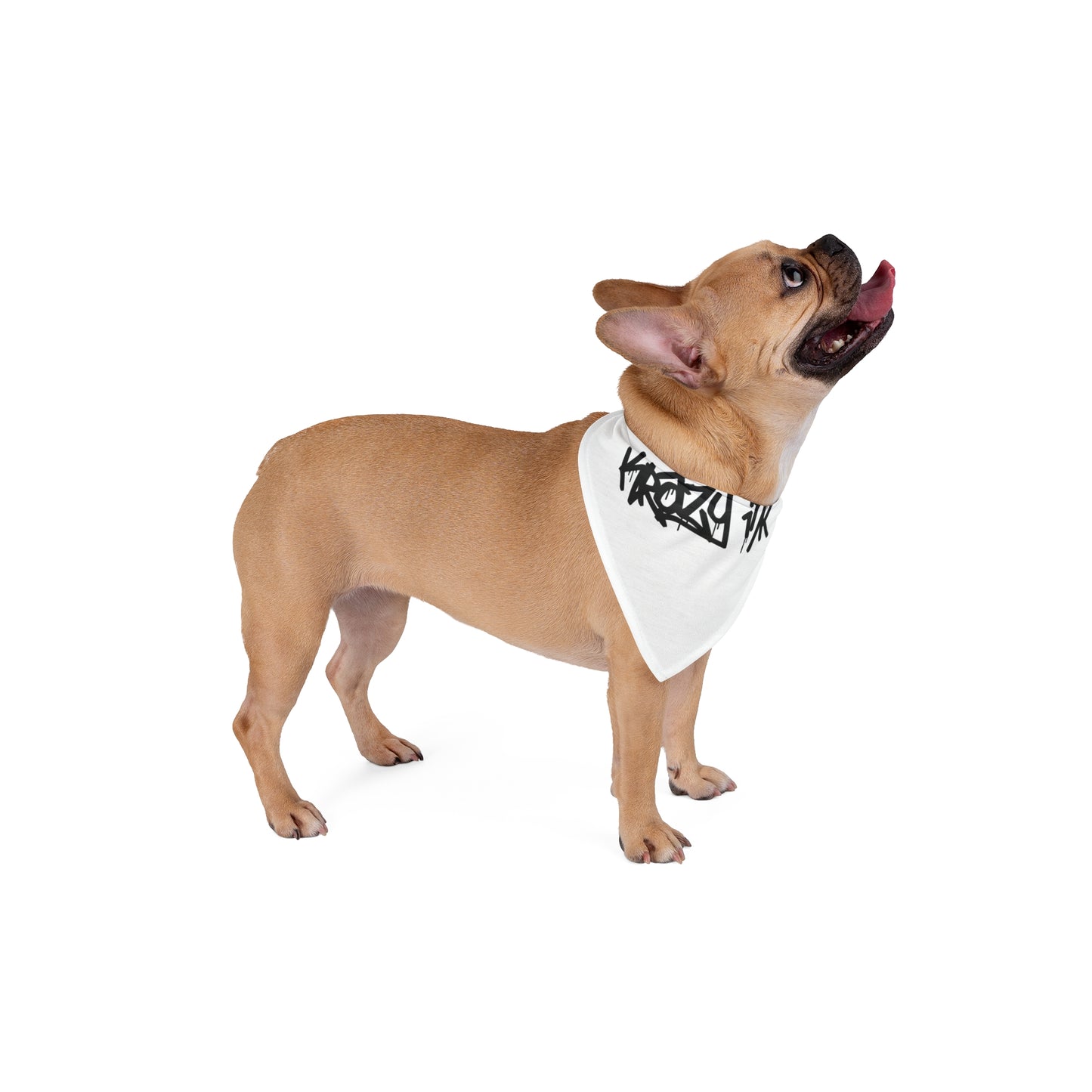 Trendy Pet Bandana with Graffiti Design - Cool Accessories for Stylish Dogs